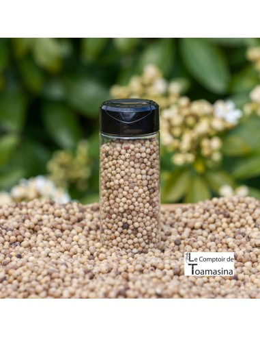 Pimenta Branca de Penja IGP