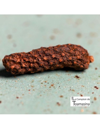 Discovery Set of 9 World Peppers