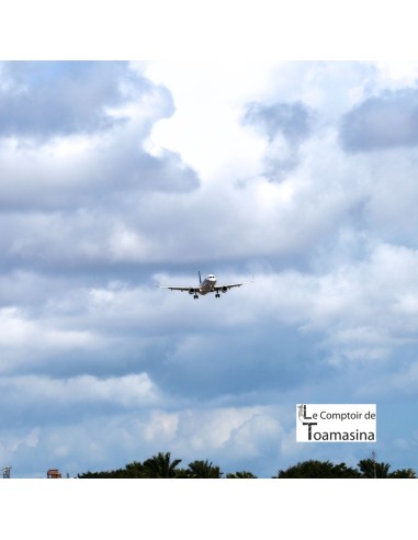 Bahia Green Sun Tea (Passion Fruit - Lemon)