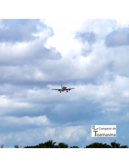 Chá Verde Bahia (Maracujá - Limão)