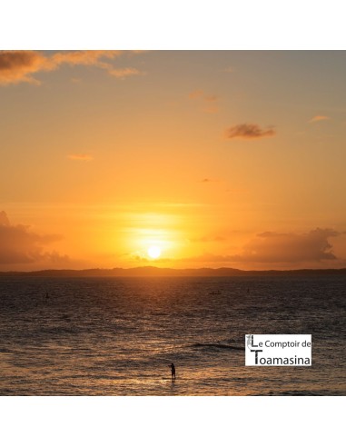 Thé Vert Soleil de Bahia (Passion - Citron)
