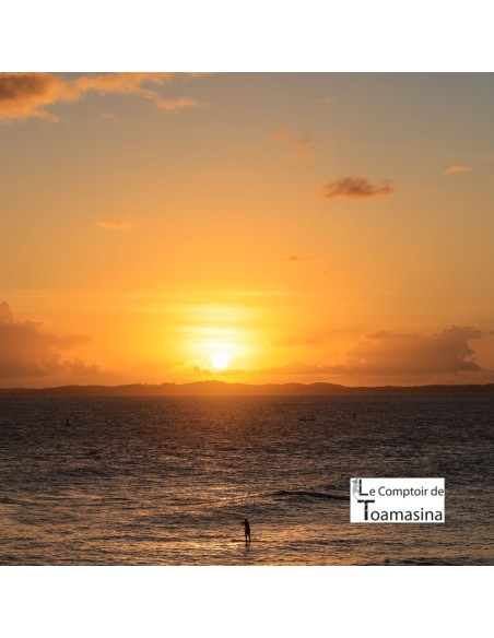 Thé Vert Soleil de Bahia (Passion - Citron)