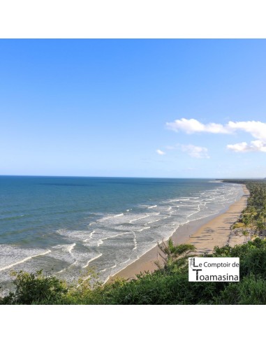 Chá Verde Bahia (Maracujá - Limão)