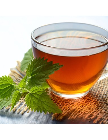 Moroccan Escape Green Tea - Mint