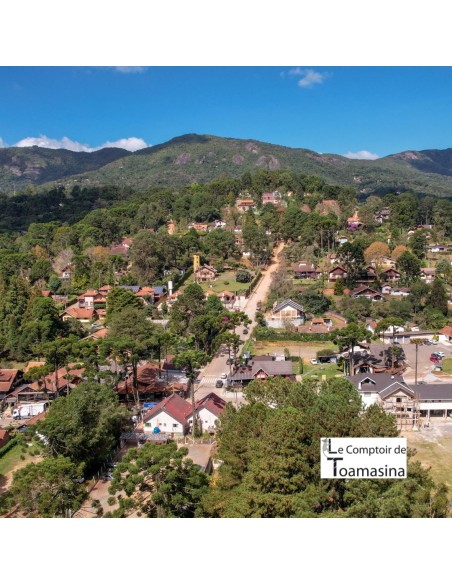 Chá Verde Evasão Paulista - Cítrico