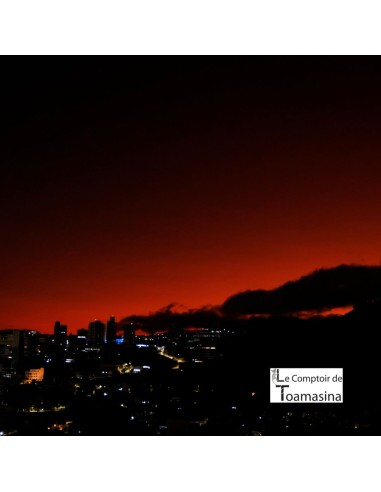 Green Tea of the Aurora (Bergamot - Fruit of...