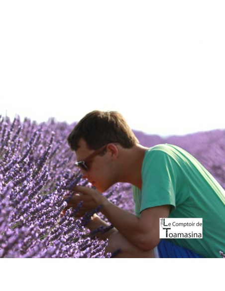 Summer Green Tea - Litchi, Violet and Lavender