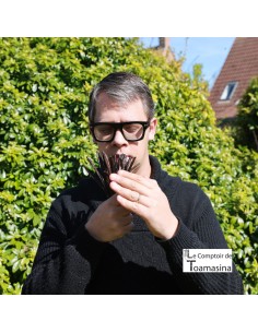 Thé Vert Fraise, pamplemousse et vanille 2