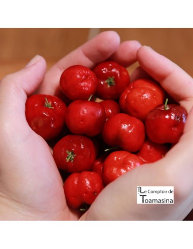 Acerola em Pó