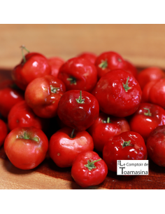 Acerola em Pó 2