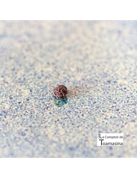 Poivre Noir Sri Lanka (Ceylan)