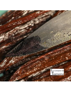 Especiarias da caixa descoberta e baunilha de Madagascar