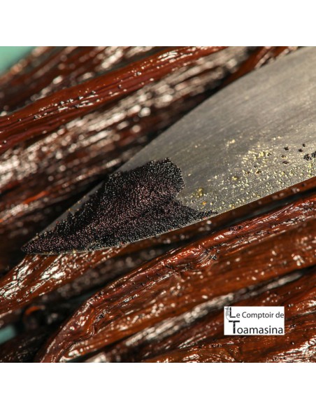 Especiarias da caixa descoberta e baunilha de Madagascar