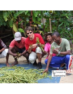 Vanilla and Spices Madagascar