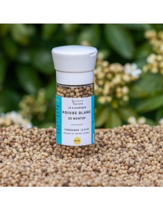Muntok White Pepper 2