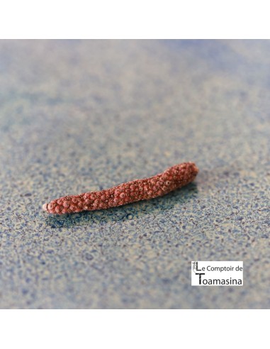 Pimenta Java Longa por Quilo