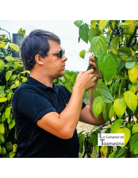 Coffret d'épices du monde