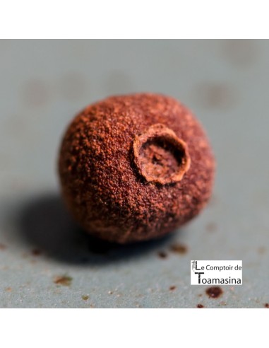 Peppers of the World - Box