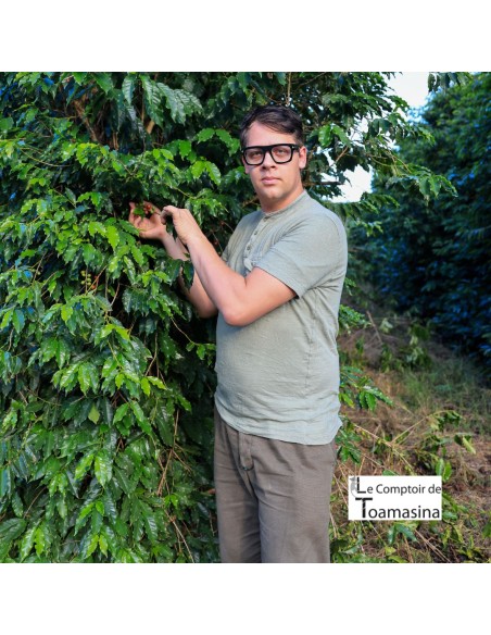 Aroma Natural de Café para Pâtisserie