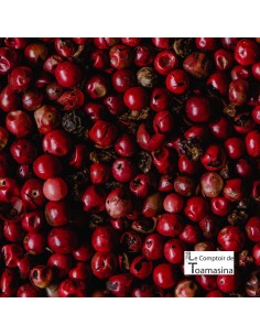 Pimenta Rosa - Brasil