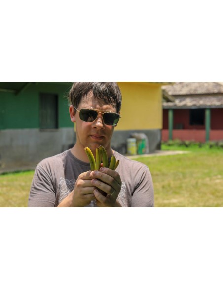 Oferta Vanilla Grand Cru Discovery