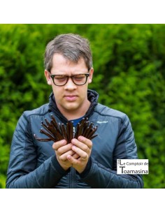 copy of Tahitian Vanilla Bean - Tahiti 2