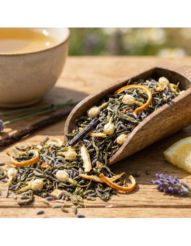 L'Échappée Belle - Horizon Azur N°11