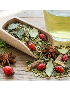 Vital Impulse No. 07: The Rebirth of Body and Mind