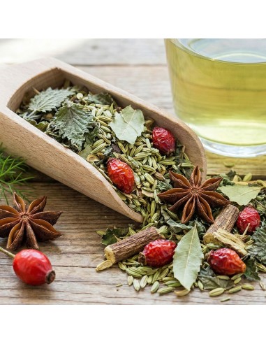 Élan Vital N°07 : La Renaissance du Corps et de...