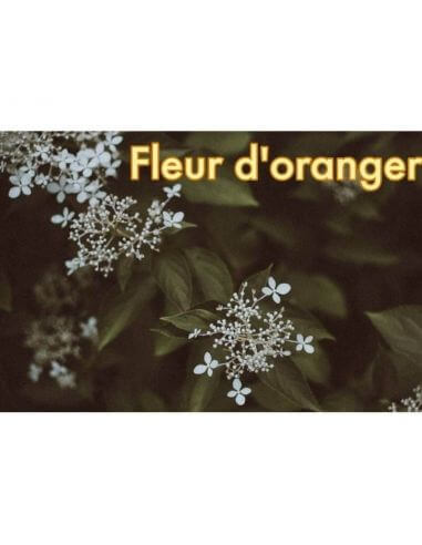 Hydrolat de Fleur d'oranger, Eau de Fleur d'Oranger 100% naturel  120ml du Maroc, disponible sur lille