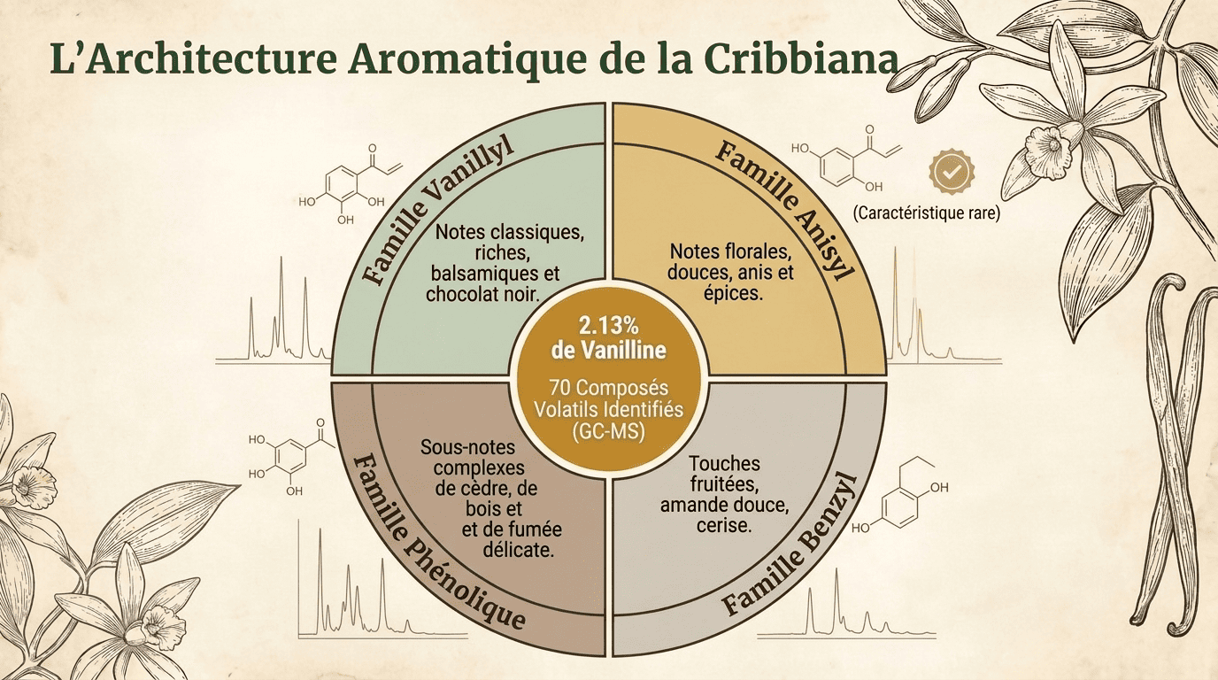 Vanilla Cribbiana Masterclass by Arnaud Vanille