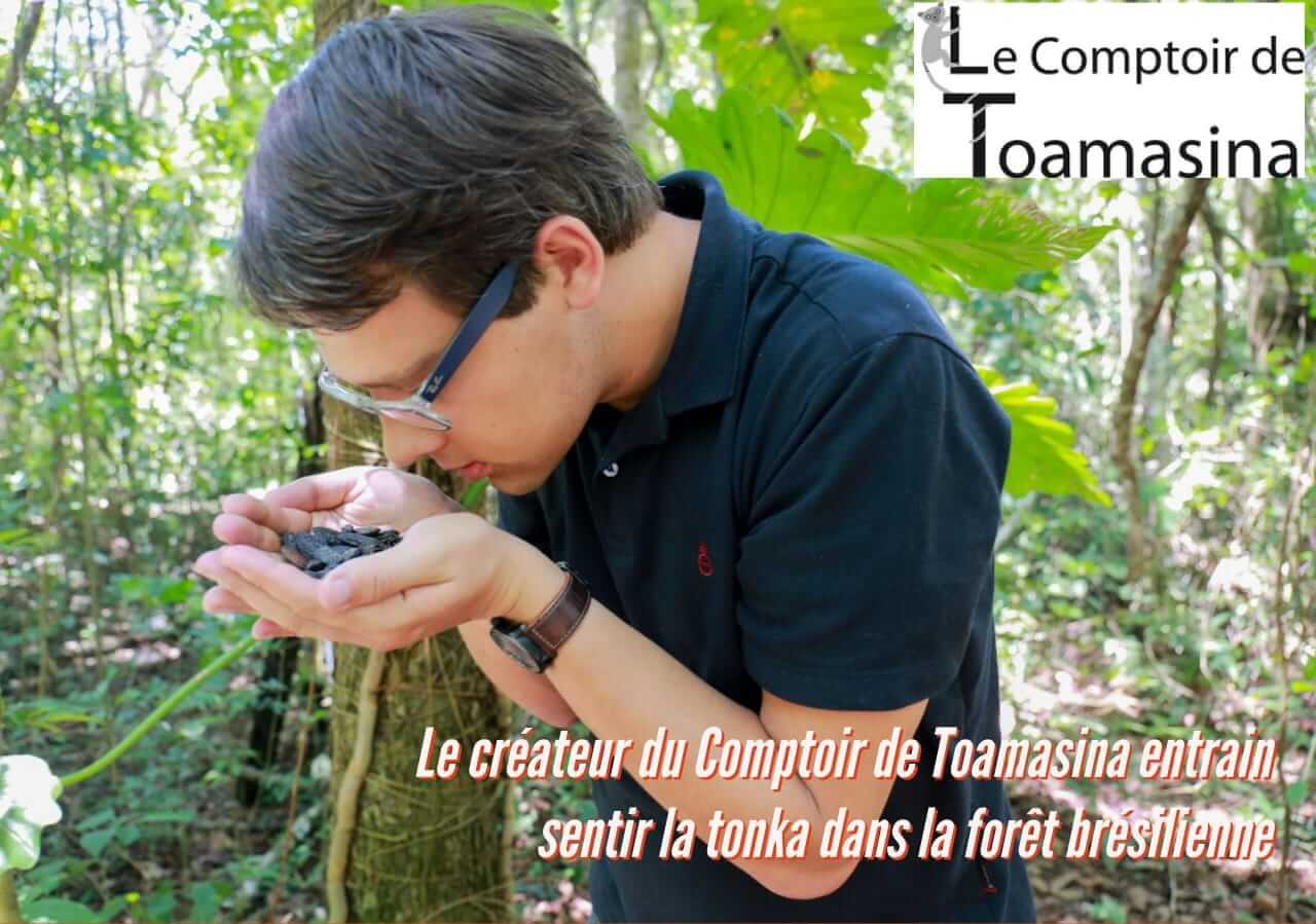 Importation de Fèves Tonka du Brésil