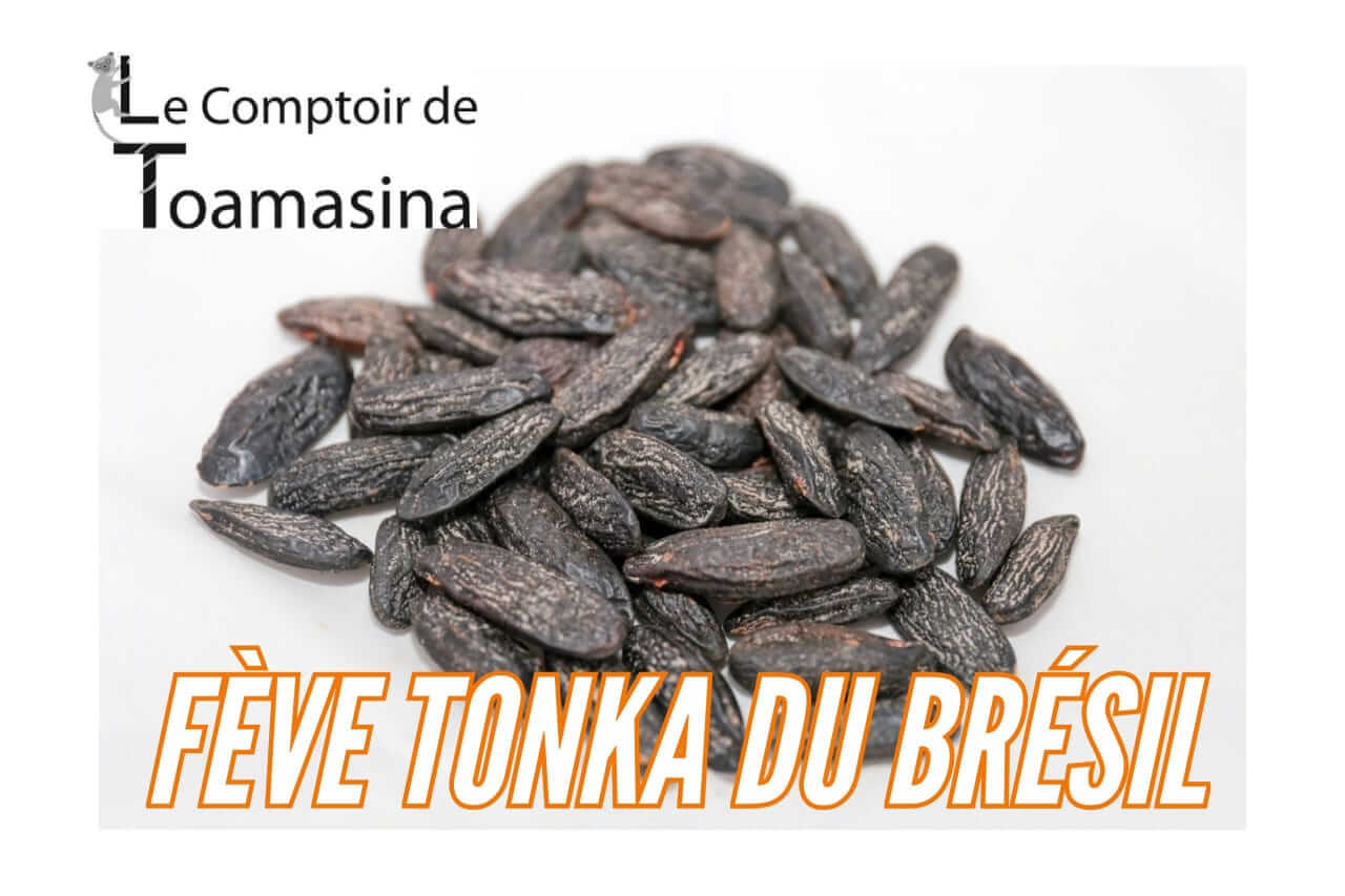 Fève Tonka à pâtisserie du Comptoir de Toamasina Prix Gold saveurs vanille