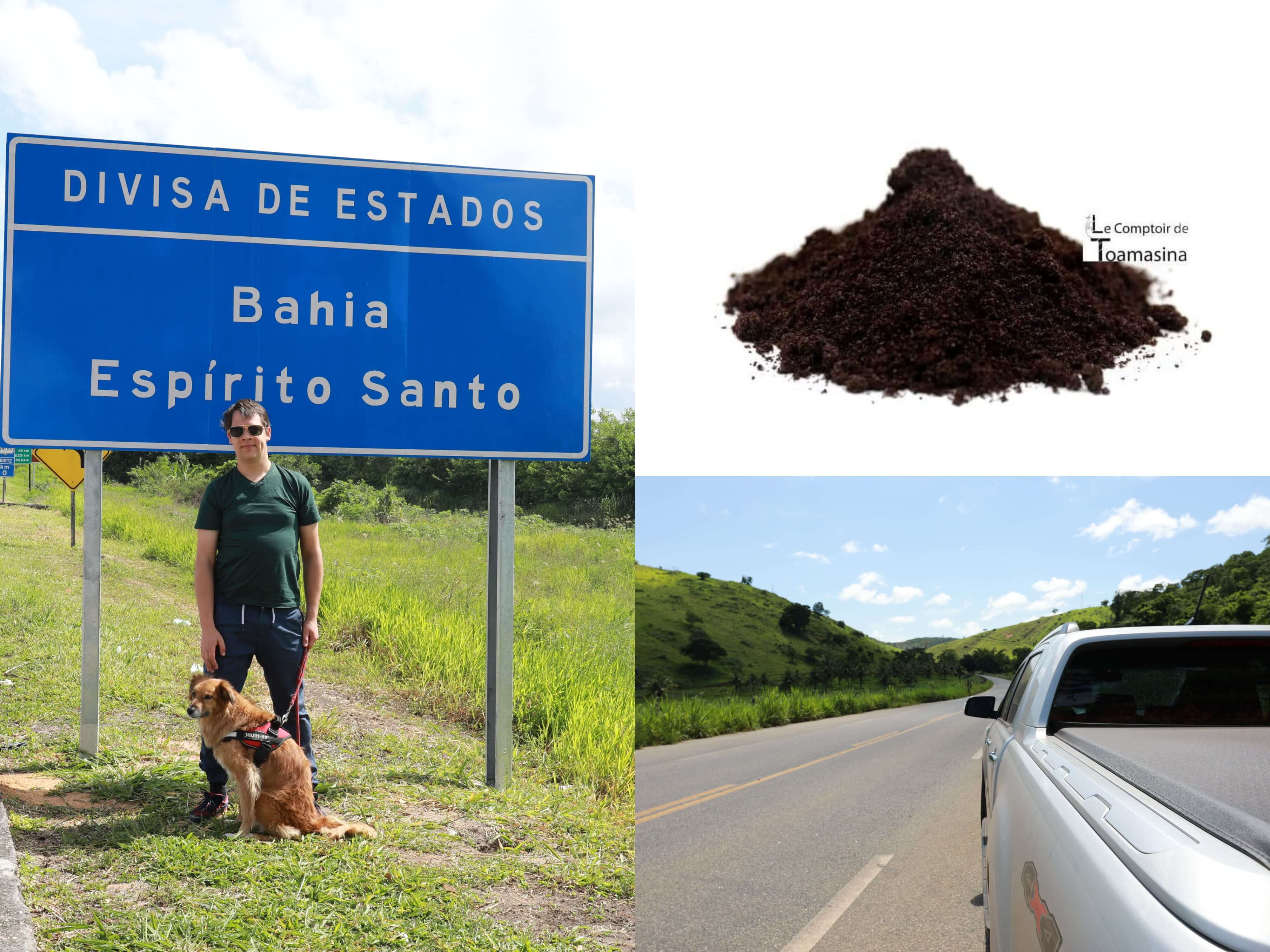 Pulpe d'Açai Lyophilisée en Poudre - Comptoir de Toamasina