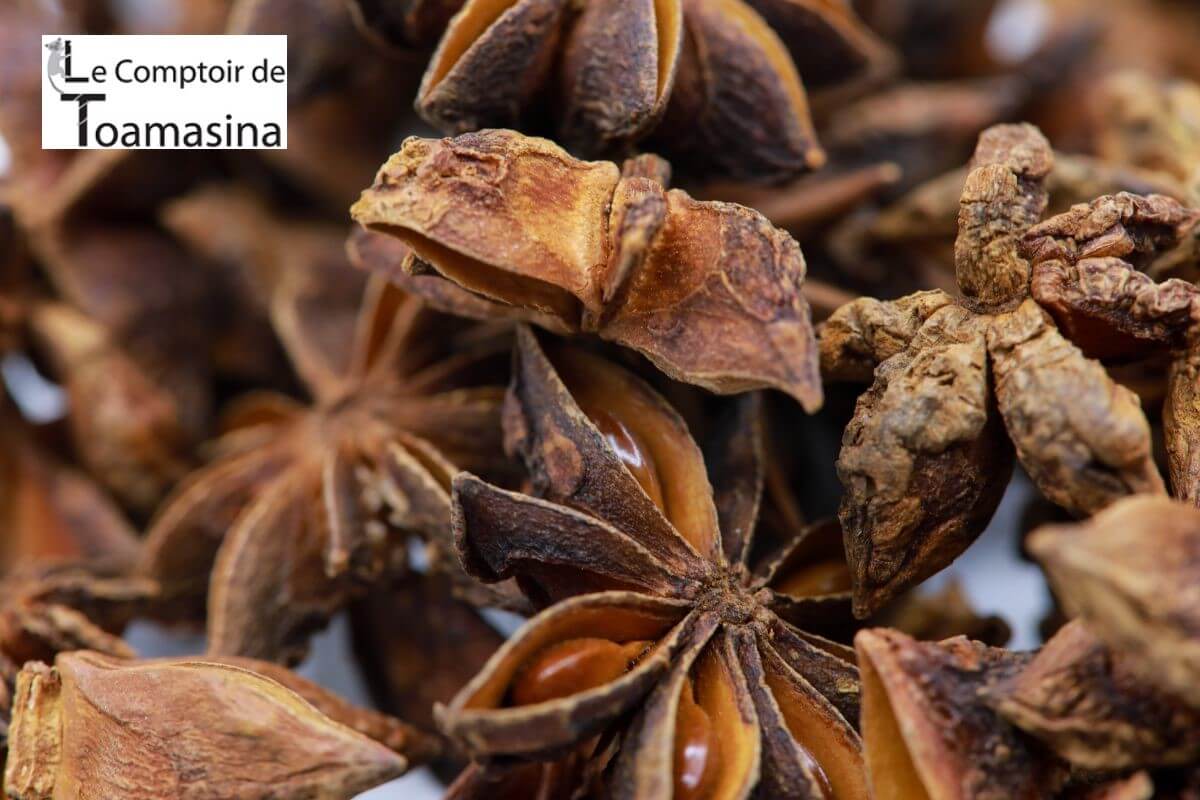 Badiane Anis Etoile Vietnam Achat Vente Conseils D Utilisation Tisanes Sachet De 50g