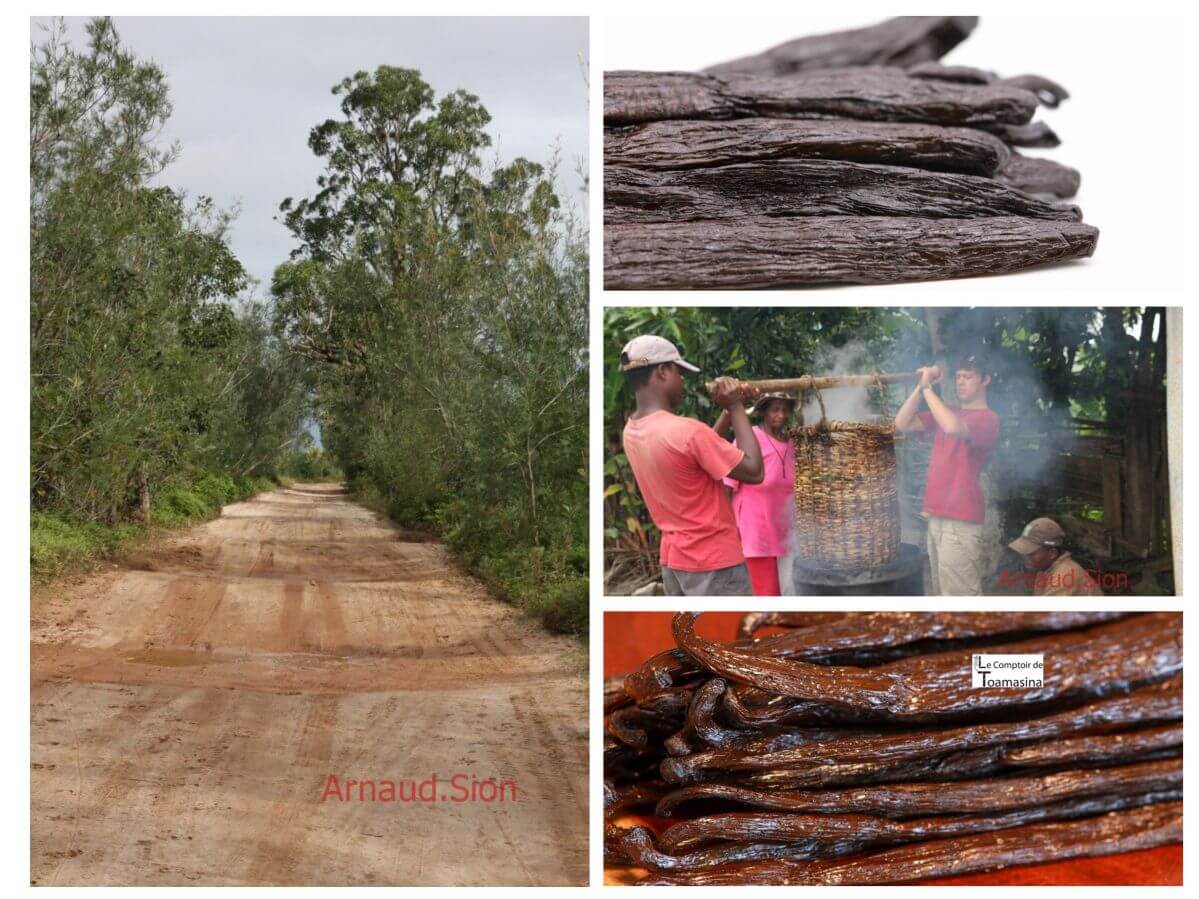 Gousses de Vanille de Madagascar direct producteur.jpg