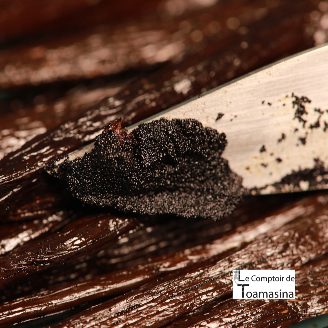 Vanille Papouasie Tahitensis