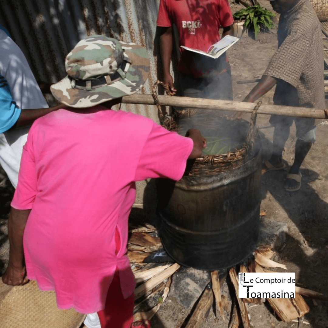 Préparation et échaudage des gousses de vanille du Comptoir de Toamasina