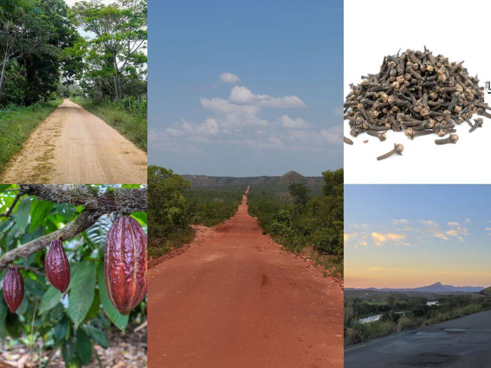 Achat et vente d'épices entières du monde