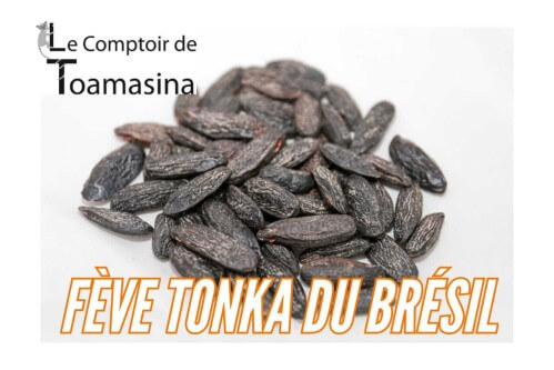 CUMARU - FAVA TONKA