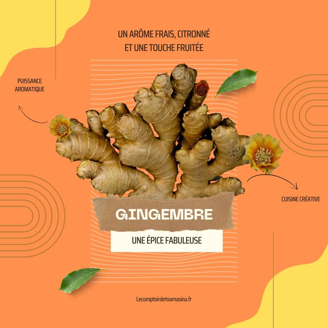 Rhizomes entiers de gingembre confit (zingiber officinalis), chine