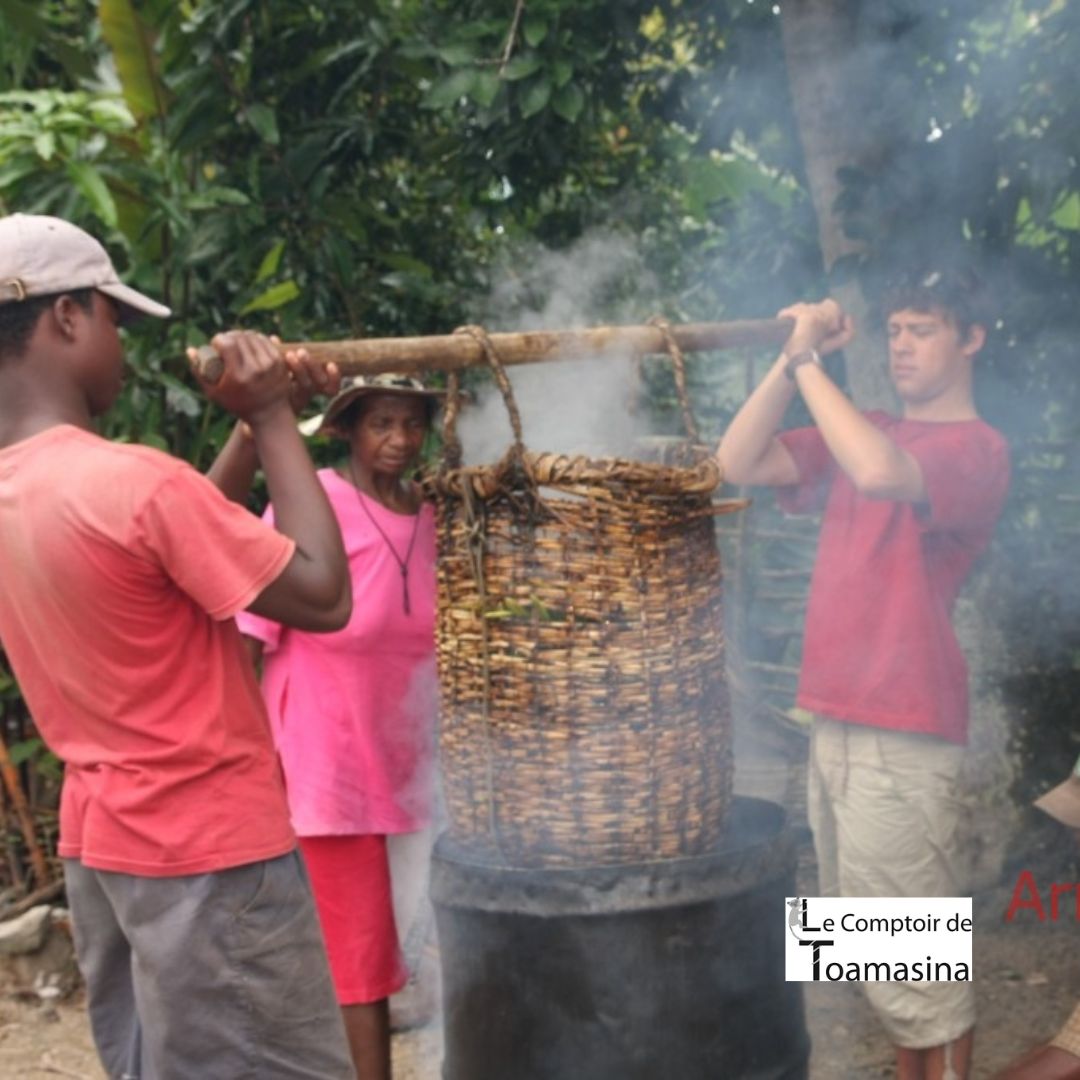 Echaudage de la vanille bourbon